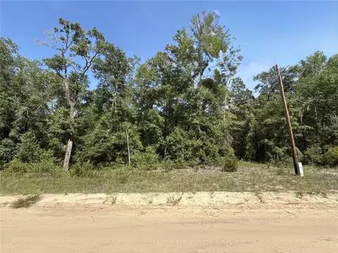 0 Gloria Ave, Interlachen, FL 32148