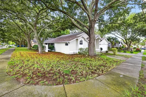 890 Kriswell Ct, Palm Harbor, FL 34683