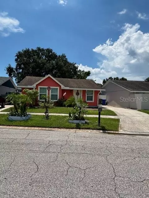 8512 Catalina Dr, Tampa, FL 33615