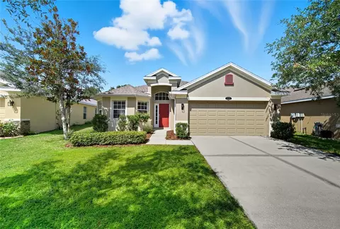 11112 Ancient Futures Dr, Tampa, FL 33647