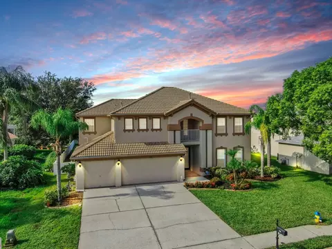 2336 Winsloe Dr, Trinity, FL 34655 photo 1