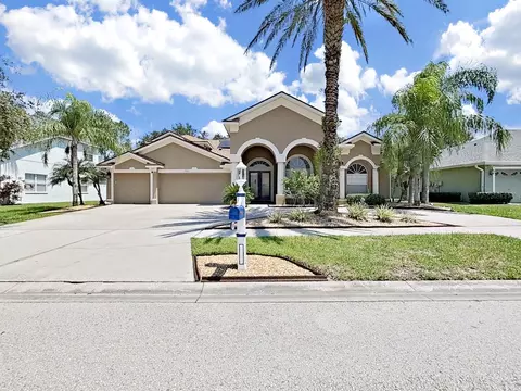 19103 Harbor Cove Ct, Lutz, FL 33558