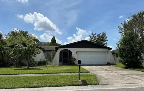 703 Sailfish Dr, Brandon, FL 33511