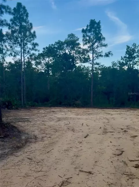 13358 Potomac Ave, Brooksville, FL 34614