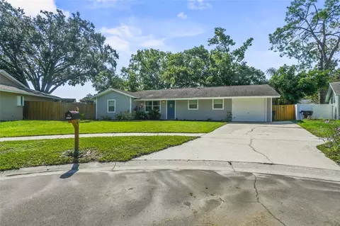 17703 Morninghigh Dr, Lutz, FL 33549
