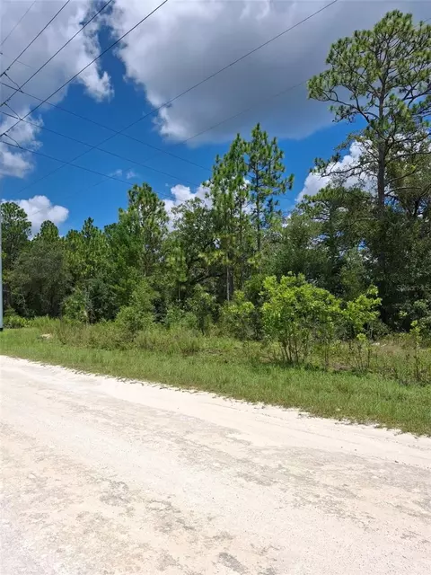 14020 Cedarwood Ave, Weeki Wachee, FL 34614