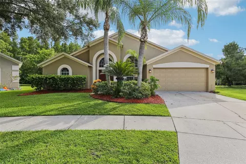 18008 Sparrows Nest Dr, Lutz, FL 33558