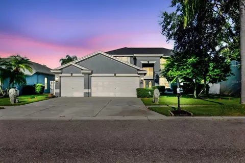 1725 Pink Guara Ct, Trinity, FL 34655