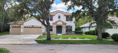4802 Tea Rose Ct, Lutz, FL 33558