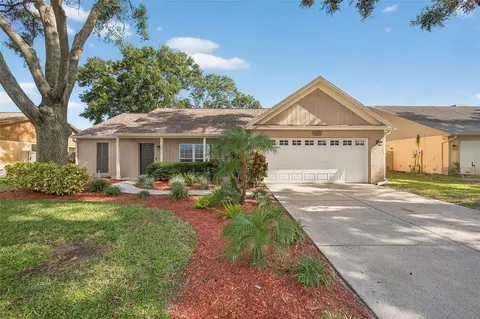 2410 Cedarcrest Pl, Valrico, FL 33596
