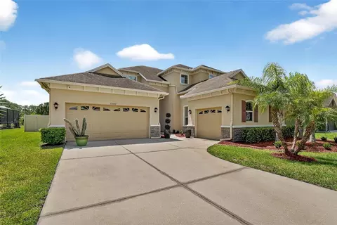 27202 Sora Blvd, Wesley Chapel, FL 33544