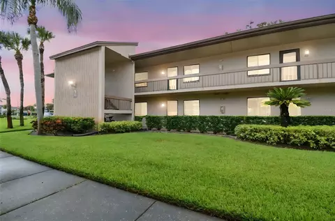 204 Mary Dr, Oldsmar, FL 34677