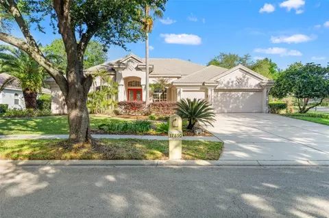 17890 Arbor Greene Dr, Tampa, FL 33647