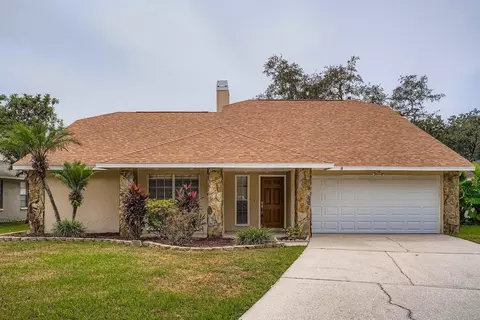 6226 Eaglebrook Ave, Tampa, FL 33625