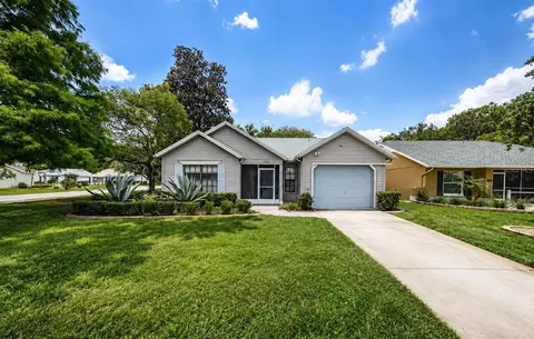 11805 Loblolly Pine Dr, New Port Richey, FL 34654