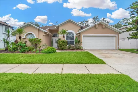 9806 Sunnyoak Dr, Riverview, FL 33569