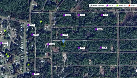 107 Helen Ave, Georgetown, FL 32139