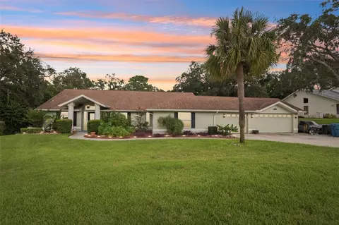 13001 Jocelyn Way, Spring Hill, FL 34609