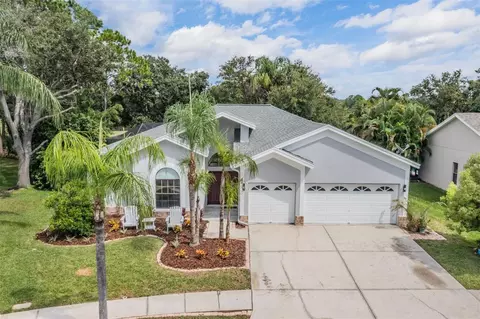11209 Pocket Brook Dr, Tampa, FL 33635