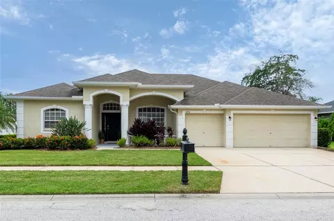 14712 Coral Berry Dr, Tampa, FL 33626
