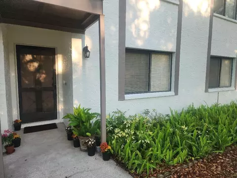 603 Baldwin Ave #B, Safety Harbor, FL 34695
