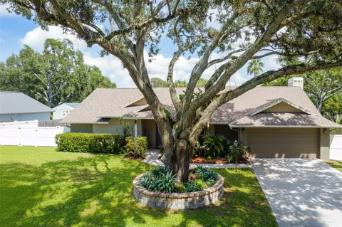 3044 Avalon Terrace Dr, Valrico, FL 33596