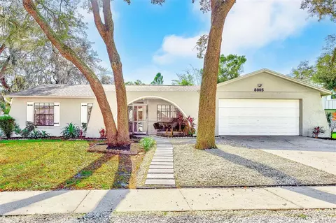 8005 Dorado Ct, Tampa, FL 33637