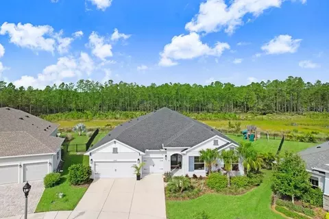 16160 November Rain Ct, Land O Lakes, FL 34638