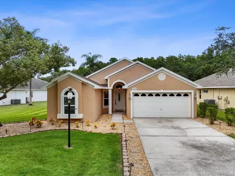 317 Tavernier Dr, Oldsmar, FL 34677