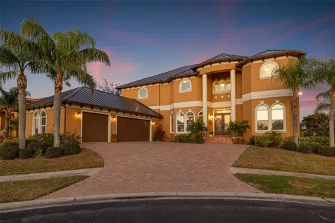 288 Mobbly Bay Dr, Oldsmar, FL 34677
