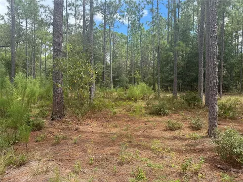 7651 NE 111th Ln, Bronson, FL 32621 photo 1
