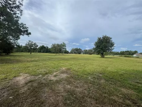 17349 Forge Dr, Spring Hill, FL 34610 photo 4