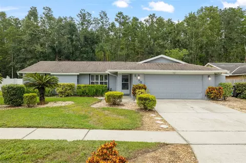 5330 Black Pine Dr, Tampa, FL 33624