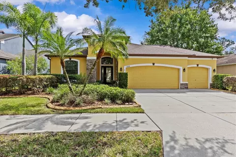 11008 Wembley Landing Dr, Lithia, FL 33547