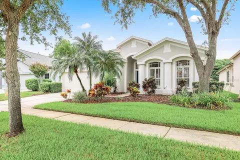 15533 Martinmeadow Dr, Lithia, FL 33547