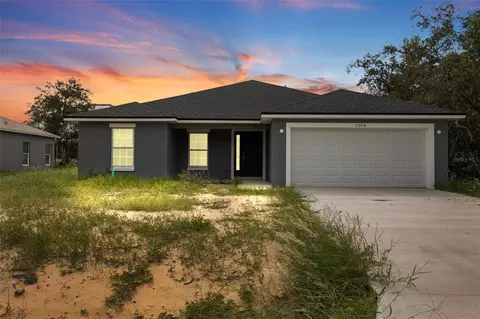 1204 Alafia Way, Kissimmee, FL 34759