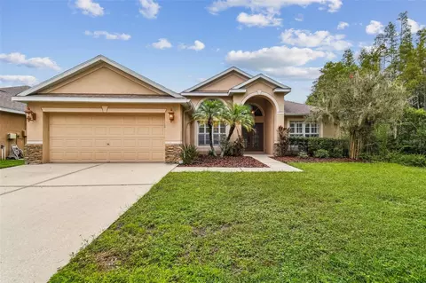 19207 Robin Perch Ln, Tampa, FL 33647