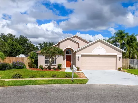 24241 Branchwood Ct, Lutz, FL 33559