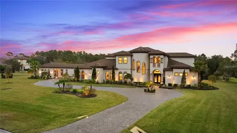 12405 Stonelake Ranch Blvd, Thonotosassa, FL 33592