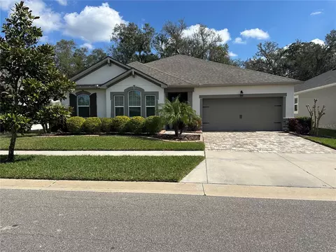 921 Night Song St, Valrico, FL 33594