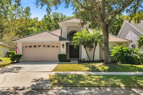 5542 Avenue Du Soleil, Lutz, FL 33558