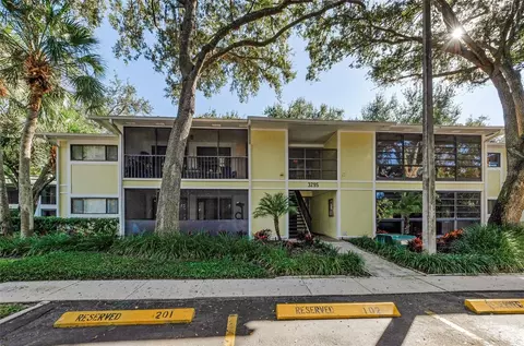 3295 Fox Chase Cir N #104, Palm Harbor, FL 34683