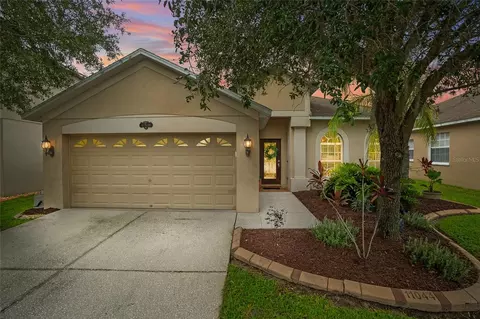 11044 Ancient Futures Dr, Tampa, FL 33647