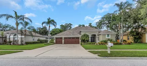 1402 Wyndham Lakes Dr, Odessa, FL 33556