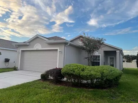 2900 Banyan Hill Ln, Land O Lakes, FL 34639