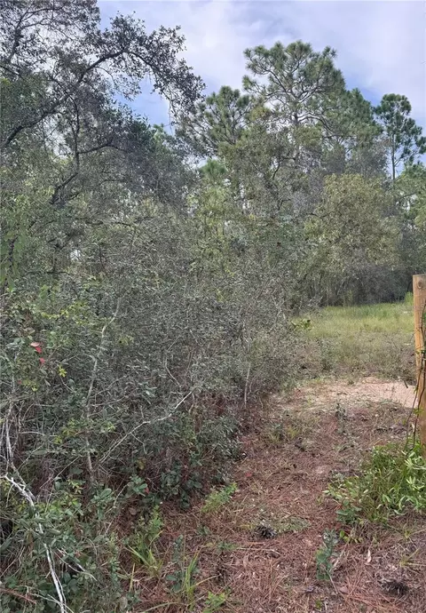 Scooby Road, Brooksville, FL 34604