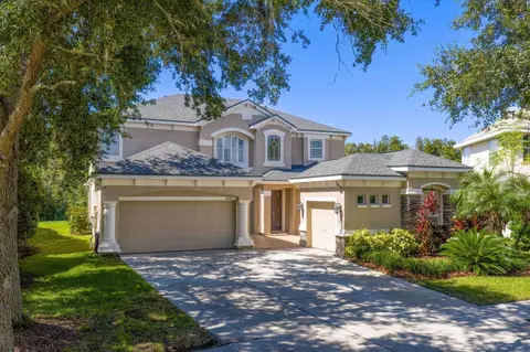 10103 Evergreen Hill Dr, Tampa, FL 33647