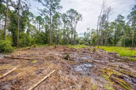 34389 Grindstone Dr, Webster, FL 33597