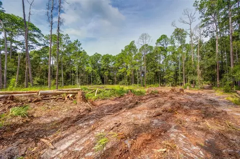 34389 Grindstone Dr, Webster, FL 33597 photo 8