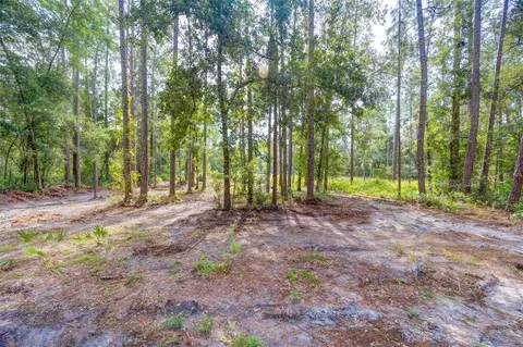 34389 Grindstone Dr, Webster, FL 33597 photo 2